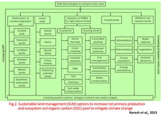 Fig.2. Sustainable land management (SLM) options to increase net primary production
and ecosystem soil organic carbon (SOC) pool to mitigate climate change
Naresh et al., 201327
 