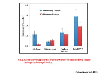 Fig.3. Global warming potential of conventionally flooded and mid season
drainage technologies in rice.
Pathak & Agarwal, 201328
 
