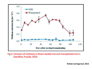 Fig.4. Emission of methane in direct seeded rice and transplanted rice in
Jalandhar, Punjab, 2010.
Pathak and Agarwal, 201329
 