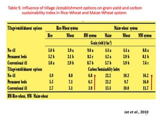 Table 9. Influence of tillage /establishment options on grain yield and carbon
sustainability index in Rice-Wheat and Maize-Wheat system
Jat et al., 201038
 