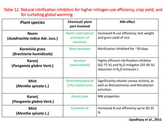 Table 12. Natural nitrification inhibitors for higher nitrogen use efficiency, crop yield, and
for curtailing global warming
Upadhyay et al., 2011
Plant species Chemical/ plant
part involved
NNI effect
Neem
(Azadirachta indica Adr. Juss.)
Neem seed extract
and neem oil
emulsion
Increased N use efficiency, test weight
and grain yield of rice
Koronivia grass
(Brachiaria humidicola)
Root exudates Nitrification inhibited for ~50 days
Karanj
(Pongamia glabra Vent.)
Karanjin
(seed extract)
Highly efficient nitrification inhibitor
(62-75 %) and N2O mitigator (92-96 %)
reduction in N2O emission )
Mint
(Mentha spicata L.)
Dementholated oil
(1%) coated urea
Significantly retards urease activity, as
well as Nitrosomonas and Nitrobacter
activities.
Karanj
(Pongamia glabra Vent.)
Karanj cake NNI properties
Mint
(Mentha spicata L.)
Essential oil Increased N use efficiency up to 30-35
%
42
 