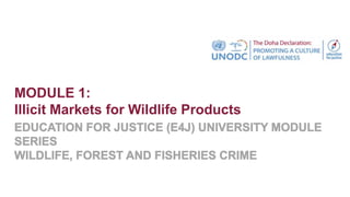 MODULE 1:
Illicit Markets for Wildlife Products
 