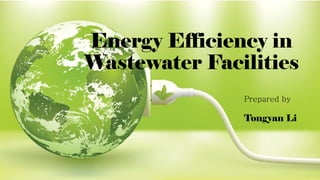 Energy Efficiency in
Wastewater Facilities
Prepared by
Tongyan Li
 