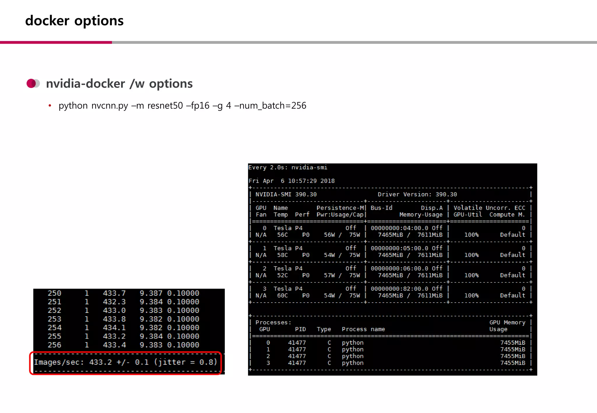 docker options
nvidia-docker /w options
• python nvcnn.py –m resnet50 –fp16 –g 4 –num_batch=256
 