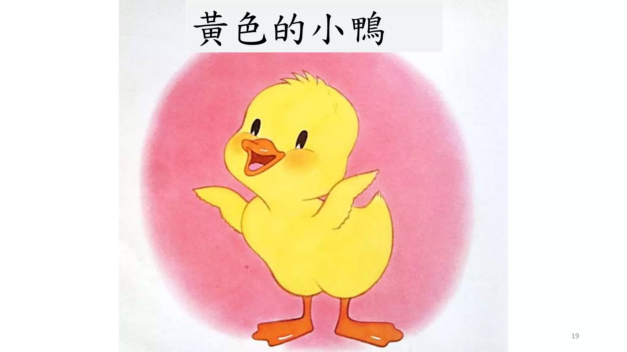 19
黃色的小鴨
 