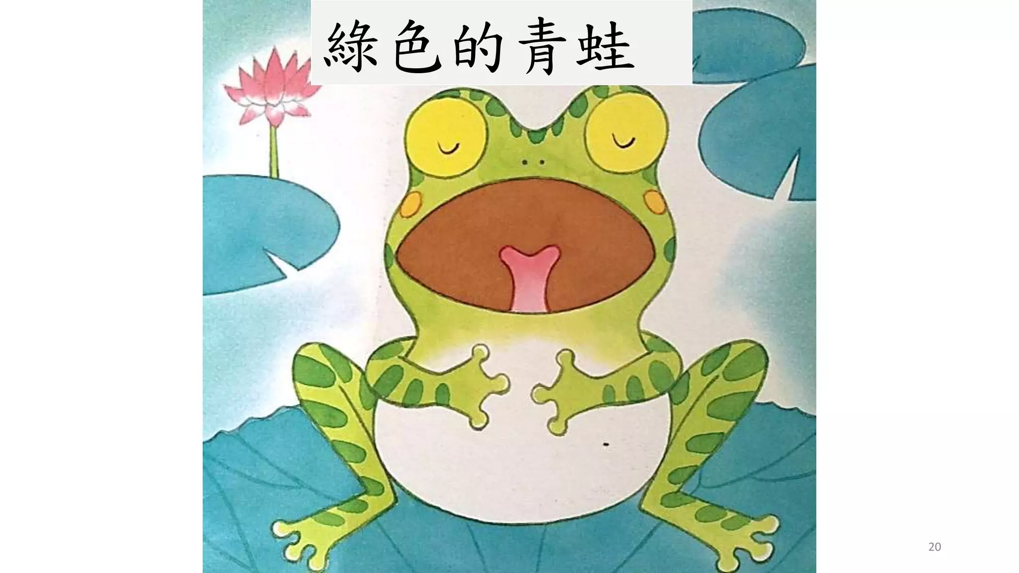 20
綠色的青蛙
 
