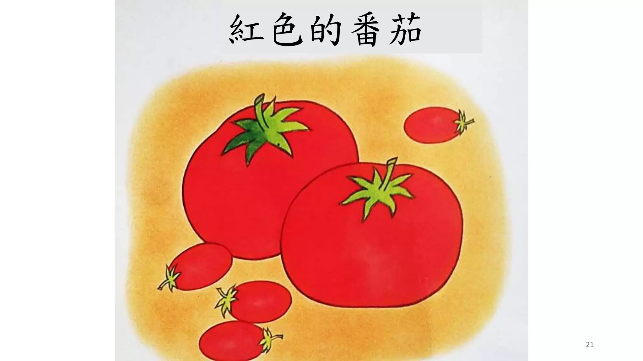 21
紅色的番茄
 
