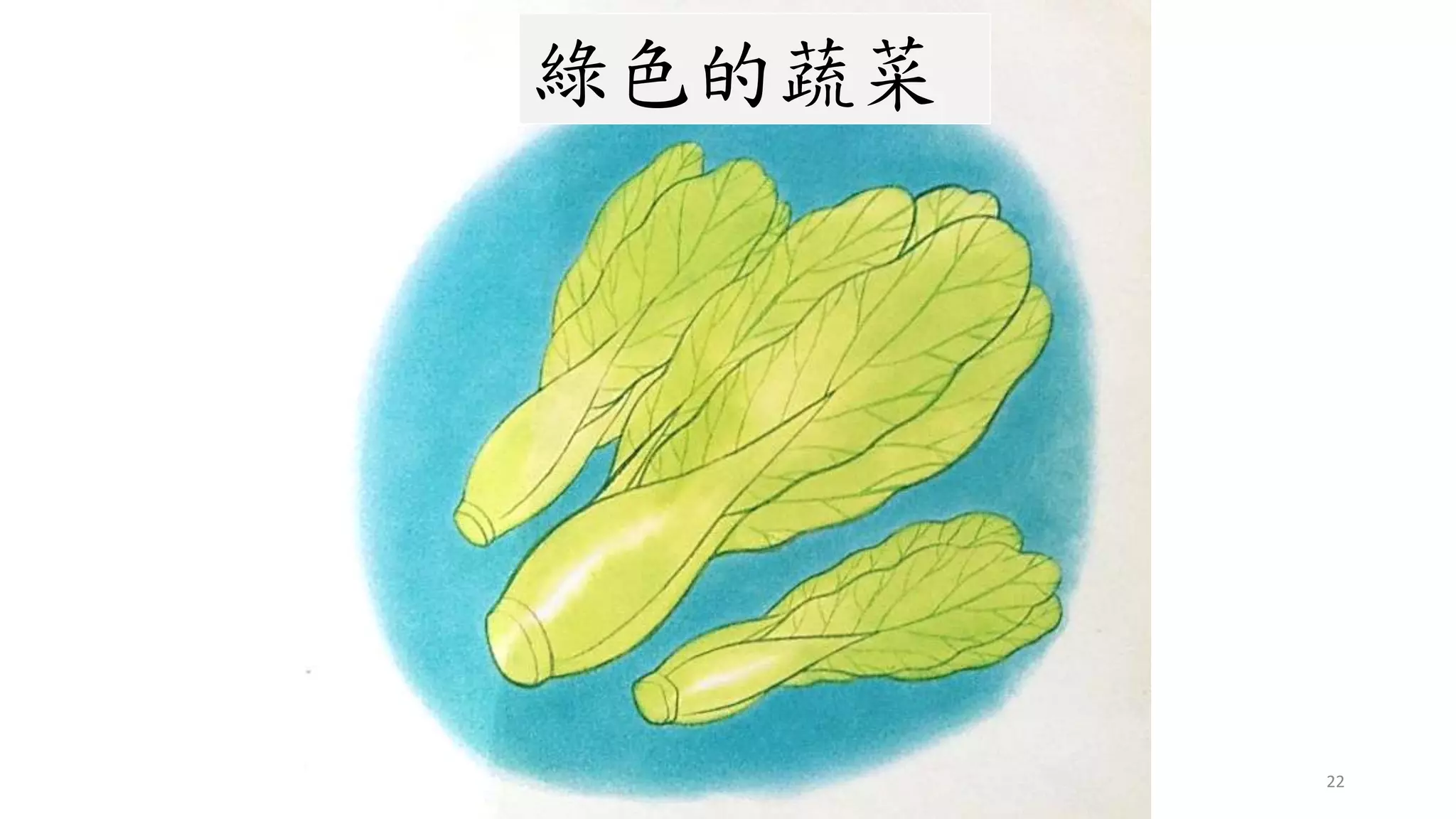 22
綠色的蔬菜
 