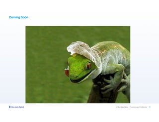 31© Blue State Digital | Proprietary and Confidential
Coming Soon
 