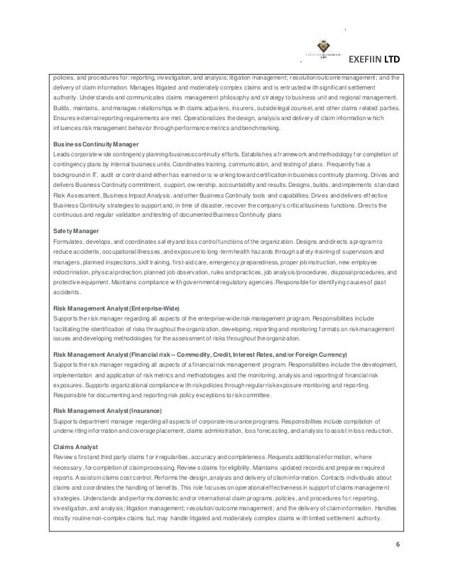 risk manager description risk manager description