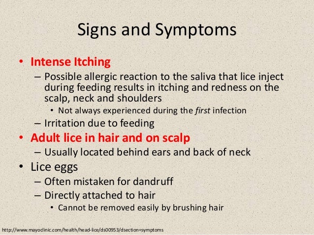 Otc Case Study Presentation Head Lice