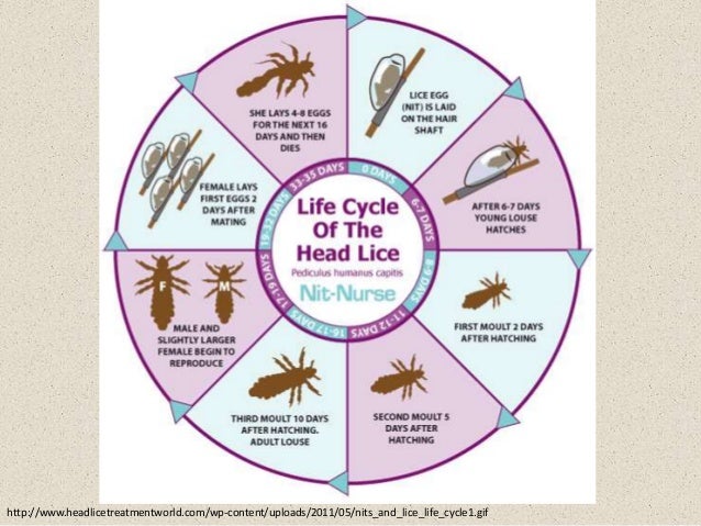 Science case studies examples image