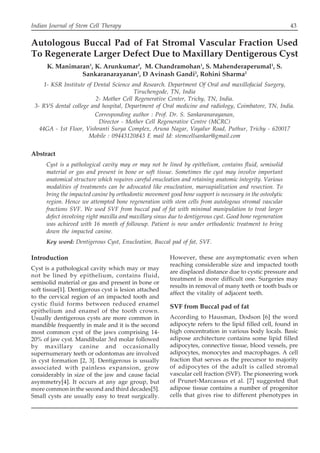 Indian Journal of Stem Cell Therapy 43
Introduction
Cyst is a pathological cavity which may or may
not be lined by epithelium, contains fluid,
semisolid material or gas and present in bone or
soft tissue[1]. Dentigerous cyst is lesion attached
to the cervical region of an impacted tooth and
cystic fluid forms between reduced enamel
epithelium and enamel of the tooth crown.
Usually dentigerous cysts are more common in
mandible frequently in male and it is the second
most common cyst of the jaws comprising 14-
20% of jaw cyst. Mandibular 3rd molar followed
by maxillary canine and occasionally
supernumerary teeth or odontomas are involved
in cyst formation [2, 3]. Dentigerous is usually
associated with painless expansion, grow
considerably in size of the jaw and cause facial
asymmetry[4]. It occurs at any age group, but
more common in the second and third decades[5].
Small cysts are usually easy to treat surgically.
However, these are asymptomatic even when
reaching considerable size and impacted tooth
are displaced distance due to cystic pressure and
treatment is more difficult one. Surgeries may
results in removal of many teeth or tooth buds or
affect the vitality of adjacent teeth.
SVF from Buccal pad of fat
According to Hausman, Dodson [6] the word
adipocyte refers to the lipid filled cell, found in
high concentration in various body locals. Basic
adipose architecture contains some lipid filled
adipocytes, connective tissue, blood vessels, pre
adipocytes, monocytes and macrophages. A cell
fraction that serves as the precursor to majority
of adipocytes of the adult is called stromal
vascular cell fraction (SVF). The pioneering work
of Prunet-Marcassus et al. [7] suggested that
adipose tissue contains a number of progenitor
cells that gives rise to different phenotypes in
Autologous Buccal Pad of Fat Stromal Vascular Fraction Used
To Regenerate Larger Defect Due to Maxillary Dentigerous Cyst
K. Manimaran1
, K. Arunkumar3
, M. Chandramohan1
, S. Mahenderaperumal1
, S.
Sankaranarayanan2
, D Avinash Gandi2
, Rohini Sharma2
1- KSR Institute of Dental Science and Research. Department Of Oral and maxillofacial Surgery,
Tiruchengode, TN, India
2- Mother Cell Regenerative Center, Trichy, TN, India.
3- RVS dental college and hospital, Department of Oral medicine and radiology, Coimbatore, TN, India.
Corresponding author : Prof. Dr. S. Sankaranarayanan,
Director - Mother Cell Regenerative Centre (MCRC)
44GA - 1st Floor, Vishranti Surya Complex, Aruna Nagar, Vayalur Road, Puthur, Trichy - 620017
Mobile : 09443120843 E mail Id: stemcellsankar@gmail.com
Abstract
Cyst is a pathological cavity may or may not be lined by epithelium, contains fluid, semisolid
material or gas and present in bone or soft tissue. Sometimes the cyst may involve important
anatomical structure which requires careful enucleation and retaining anatomic integrity. Various
modalities of treatments can be advocated like enucleation, marsupialization and resection. To
bring the impacted canine by orthodontic movement good bone support is necessary in the osteolytic
region. Hence we attempted bone regeneration with stem cells from autologous stromal vascular
fractions SVF. We used SVF from buccal pad of fat with minimal manipulation to treat larger
defect involving right maxilla and maxillary sinus due to dentigerous cyst. Good bone regeneration
was achieved with 16 month of followup. Patient is now under orthodontic treatment to bring
down the impacted canine.
Key word: Dentigerous Cyst, Enucleation, Buccal pad of fat, SVF.
 