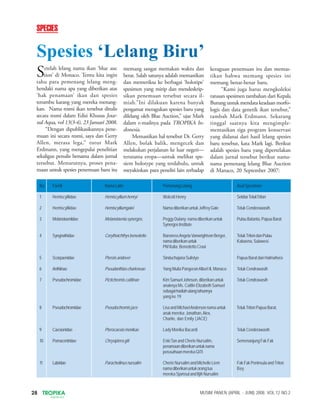 28 TROPIKA
INDONESIA
MUSIM PANEN (APRIL - JUNI) 2008. VOL.12 NO.2
Setelah lelang nama ikan ‘blue auc
tion’ di Monaco. Tentu kita ingin
tahu para pemenang lelang meng-
hendaki nama apa yang diberikan atas
‘hak penamaan’ ikan dan spesies
terumbu karang yang mereka menang-
kan. Nama resmi ikan tersebut ditulis
secara resmi dalam Edisi Khusus Jour-
nal Aqua, vol 13(3-4), 23 Januari 2008.
“Dengan dipublikasikannya pene-
muan ini secara resmi, saya dan Gerry
Allen, merasa lega,” tutur Mark
Erdmann, yang mengepalai penelitian
sekaligus penulis bersama dalam jurnal
tersebut. Menurutnya, proses pena-
maan untuk spesies penemuan baru itu
memang sangat memakan waktu dan
berat. Salah satunya adalah memastikan
dan memeriksa ke berbagai ‘holotipe’
spesimen yang mirip dan mendeskrip-
sikan penemuan tersebut secara il-
miah.”Ini dilakuan karena banyak
pengamat meragukan spesies baru yang
dilelang oleh Blue Auction,” ujar Mark
dalam e-mailnya pada TROPIKA In-
donesia.
Memastikan hal tersebut Dr. Gerry
Allen, bolak balik, mengecek dan
melakukan perjalanan ke luar negeri—
terutama eropa—untuk melihat spe-
siem holotype yang terdahulu, untuk
meyakinkan para peneliti lain terhadap
keraguan penemuan itu dan memas-
tikan bahwa memang spesies ini
memang benar-benar baru.
“Kami juga harus mengkoleksi
ratusan spesimen tambahan dari Kepala
Burung untuk mendata keadaan morfo-
logis dan data genetik ikan tersebut,”
tambah Mark Erdmann. Sekarang
tinggal saatnya kita mengimple-
mentasikan tiga program konservasi
yang didanai dari hasil lelang spesies
baru tersebut, kata Mark lagi. Berikut
adalah spesies baru yang dipertelakan
dalam jurnal tersebut berikut nama-
nama pemenang lelang Blue Auction
di Manaco, 20 September 2007:
Spesies ‘Lelang Biru’
No Famili NamaLatin PemenangLelang Asal Spesimen
1 Hemiscylliidae Hemiscylliumhenryi Wolcott Henry SekitarTelukTriton
2 Hemiscylliidae Hemiscylliumgalei Nama diberikan untuk Jeffrey Gale Teluk Cenderawasih.
3 Melanotaeniidae Melanotaeniasynergos, Peggy Dulany: nama diberikan untuk PulauBatanta,PapuaBarat
SynergosInstitute
4 Syngnathidae Corythoichthysbenedetto BaronessAngelaVanwrightvon Berger, TelukTritondanPulau
namadiberikanuntuk Kabaena, Sulawesi
PM Italia: Benedetto Craxi
5 Scorpaenidae Pteroisandover SinduchajanaSulistyo PapuaBaratdanHalmahera
6 Anthiinae Pseudanthiascharleneae Yang Mulia PangeranAlbert II, Monaco TelukCendrawasih
7 Pseudochromidae Pictichromis caitlinae KimSamuelJohnson,diberikanuntuk TelukCendrawasih
anaknya Ms. Caitlin Elizabeth Samuel
sebagaihadiahulangtahunnya
yang ke 19.
8 Pseudochromidae Pseudochromisjace LisaandMichaelAndersonnamauntuk TelukTritonPapuaBarat,
anak mereka: Jonathan,Alex,
Charlie, dan Emily (JACE)
9 Caesionidae Pterocaesiomonikae Lady Monika Bacardi TelukCenderawasih
10 Pomacentridae Chrysiptera giti EnkiTan and Cherie Nursalim, SemenanjungFakFak
penamaandiberikanuntuknama
perusahaanmerekaGITI
11 Labridae Paracheilinusnursalim Cherie Nursalim and Michelle Liem FakFakPeninsulaandTriton
namadiberikanuntukorangtua Bay
mereka Sjamsul and Itjih Nursalim
SPECIES
 