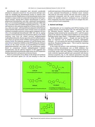 Benzothiazole type compounds have attracted considerable
attention to anticancer research [4e14], and several attempts were
made for modifying the benzothiazole nucleus to improve their
antitumoractivities. Modiﬁcationsonthe benzothiazole nucleushave
resulted in a large number of compounds having diverse pharmaco-
logical activities. Among them imidazo benzothiazoles as well as
polymerized benzothiazoles and other substituted benzothiazoles
such as 2-(3,4-dimethoxyphenyl)-5-ﬂuorobenzothiazole (PMX 610)
(Fig. 1) has been shown to exhibit exquisitely potent (GI50 < 0.1 nM)
and selective in vitro antitumor properties in human cancer cell lines
(e.g.,colon, nonsmall e celllungandbreastsubpanels)oftheNational
Cancer Institute (NCI) 60 human cancer cell line screen [15] and also
exhibited remarkable antitumor activity against malignant cell lines
[16]. 2-(4-aminophenyl)-benzothiazole (CJM 126) and its analogs
comprise a novel mechanistic class of antitumor agents [17,18]. These
nucleuses come from the related structure polyhydroxylated
2-phenylbenzothiazoles, ﬂavone quercetin and the isoﬂavone genis-
tein, which are tyrosine kinase inhibitors bearing potent antitumor
activity [19,20]. The isoﬂavone, genistein [21] and the ﬂavone, quer-
cetin [22] are competitive inhibitors at the ATP-binding site of kinases
[23,24]. As the crystal structure of 5,6-dimethoxy-2-(4-methox-
yphenyl)benzothiazole was solved [20], the preliminary analysis
based on comparisons between polyhydroxylated 2-phenyl-
benzothiazoles and the adenine fragment of ATP suggested that
suitablysubstituted benzothiazoles mightmimicthe ATPcompetitive
binding of genistein and quercetin at tyrosine kinases.
Hence in continuation of our efforts on the design and synthesis
of novel anti-cancer agents [25e29] and keeping in mind the
medicinal importance of benzothiazole moiety, we synthesized and
in vitro evaluated benzothiazoles at National Cancer Institute
(NCI-USA) for anti-tumor activity. We have also tried to dock the
synthesized compounds with the crystal structure of EGFR to
explore the possible anticancer mechanism of our compounds.
Prior compounds have been reported [30,31] to compare the anti-
cancer activity of such compounds.
2. Rational and design
Benzothiazoles act via competing with ATP for binding at the
catalytic domain of tyrosine kinase [20]. The ATP binding site has
the following features; Adenine region e contains two key
Hydrogen bonds formed by the interaction of N-1 and N-6 amino
group of the adenine ring. Many potent inhibitors use one of these
Hydrogen bonds. Sugar region e a hydrophilic region, except a few
e.g. EGFR. Hydrophobic pocket e though not used by ATP but
plays an important role in inhibitor selectivity. Hydrophobic
channels e it is not used by ATP and may be exploited for inhibitor
speciﬁcity. Phosphate binding region e This is used for improving
inhibitor selectivity [32].
In this study, we present a new sub-family of compounds con-
taining 2-anilino benzothiazole core as EGFR inhibitors. Our
strategy is directed toward designing a variety of ligands which are
structurally similar with basic skeleton, 4-anilino quinazoline of
tinibs (erlotinib, lapatinib, geﬁtinib and canaratinib) with diverse
chemical properties (Fig. 2). We replaced quinazoline ring with
benzothiazole since both are isosteric with adenine portion of ATP
Fig. 1. Reported and proposed antitumor benzothiazole derivatives.
M.N. Noolvi et al. / European Journal of Medicinal Chemistry 54 (2012) 447e462448
 