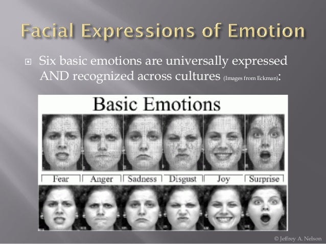 Emotion And Decision Making In Mediation A Cognitive Approach