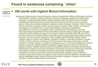 58DTSI / Service Cognitique Robotique et Interaction
Found in sentences containing ‘chien’
200 words with highest Mutual Information:
aboiement aboiements aboyait aboyant aboyer accessoires affamé affectueux aliment
alimentation andalou animal animalier animaux attelage avalanche avalanches
aveugle aveugles basset bâtard berger bergers bernois bêtises bichon bouffe
bouledogue boutique bouvier brebis brosser canards caniche canine canines
canins caravane caresse caresser chasse chassé chasser chasseur chenil cheval
chèvre chienne chiennes chiens chiots cochon cocker collier colliers compagnie
compagnon comportement comportementaliste conseils constellation
constellations couché croquettes crotte crottes docile domestique dorment
dressage dressé dysplasie écrasé éducation éduqué éduquer élevage élevages
endormi enfant enfants enragé errant errants faïence famille fidèle flacon fourmi
fourrière fourrure friandises galeux gamelle gardiennage gibier grenouilles grogne
hamster hanche harnais havanais incorruptible jupons labrador lécher lièvre
maigre maison maître mammifères mangent manieur mascotte méchant merdes
miaule mickey molosse mordant mordre morsure morsures motoneige mouillé
moutons musclé museau muselière nordiques nourrir nourriture obéissance odorat
oiseaux pancarte pattes pédestre pedigree pelage peluche pension perroquet
pigeons pisteur pistolet plumes policier poubelles prairie promenade promenades
promenait promenant promené promène promènent promener promenez propreté
propriétaire quilles ramassage ramasser randonnée randonnées raquette
raquettes remorques remuant renard renifle renifler renifleur requin retriever
rustique sacoches salauds sanglier savant shetland tatoué teigneux tempérament
tiques toilettage toutou toxique traîneau traîneaux trappeur troupeau truffe truffier
ultrasons vacciné vétérinaire viande voisin
 