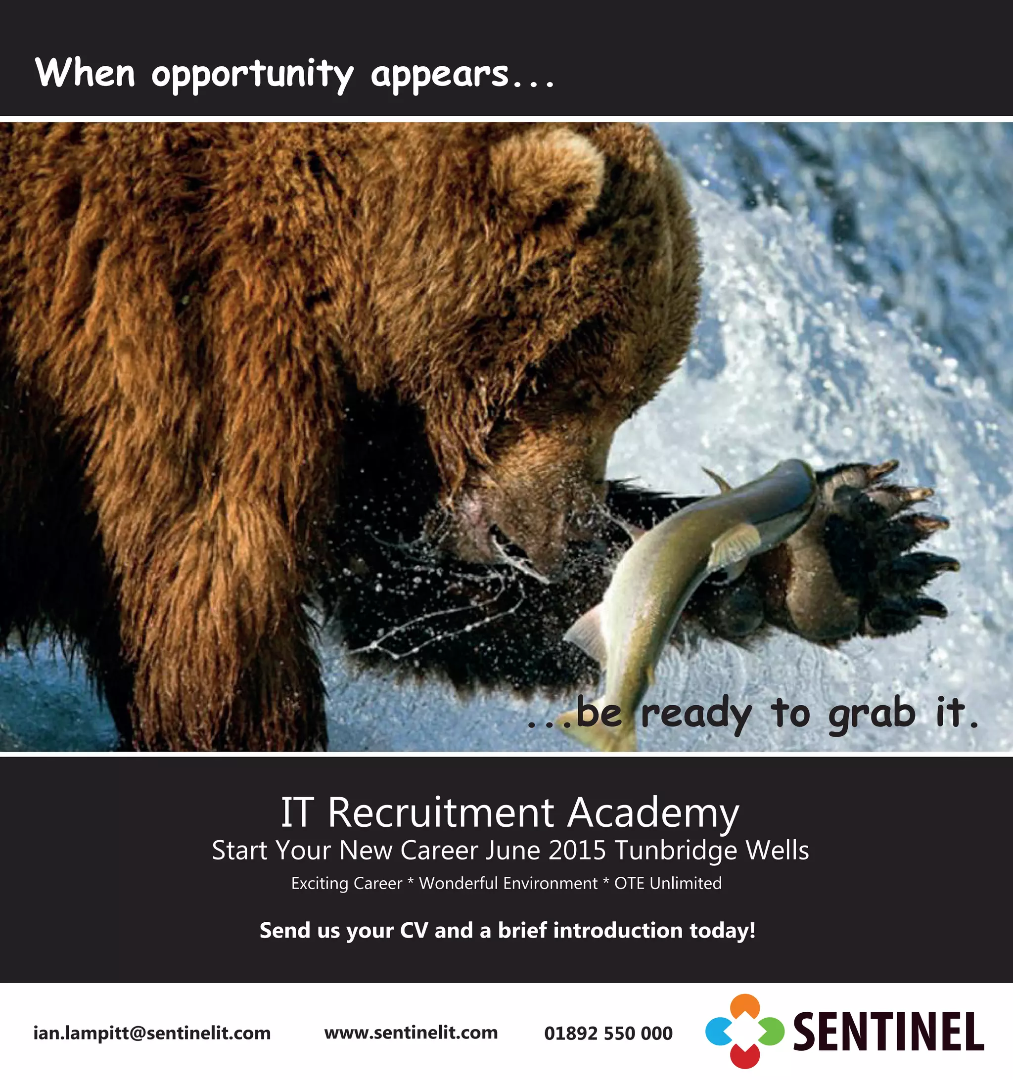 Sentinelit Heimo Recruitment Academy 5 0 | PDF