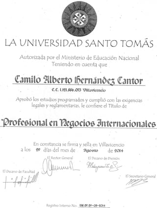 Diploma Profesional