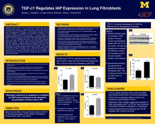 TGF-β1 Regulates IAP Expression in Lung Fibroblasts
Madalyn L. Holzapfel*, I.O. Ajayi, Amos E. Dodi M.D., Jeffery C. Horowitz M.D.
ABSTRACT	
  
Idiopathic pulmonary fibrosis (IPF) is a disease that is associated with abnormal
scar tissue within the lung. It does not yet have a known cause; however,
fibroblasts, which are cells responsible for making the abnormal scar tissue, are
key to the pathogenesis of the disease. These fibroblasts accumulate in the lung
and our laboratory has hypothesized that resistance to apoptosis is one
mechanism underlying the abnormal accumulation. To test this hypothesis, we
assessed the effect of TGF-ß1, a pro-fibrotic factor, on fibroblast expression of
XIAP (an inhibitor of apoptosis protein) and the closely related proteins cIAP-1 and
cIAP-2. To do this, fibroblasts were grown in cell culture dishes. Designated
dishes were treated with TGF-ß1 for four hours and other dishes were left
untreated as controls. Protein and RNA was extracted at different time points.
XIAP was assessed by Western blotting and quantitative real time reverse
transcription PCR (qPCR), while cIAP-1 and cIAP-2 were assessed by qPCR. Our
results showed a consistent increase in XIAP protein and mRNA. cIAP-1 mRNA
was similarly increased, while cIAP-2 was not. These results show that TGF-ß1
increases several IAPs in fibroblasts. We conclude that TGF-ß1 regulation of
several IAPs may contribute to fibroblast survival and the development of
abnormal lung scarring. Ongoing studies are evaluating the effects of TGF-ß1 on
IAPs at later time points.
INTRODUCTION	
  
HYPOTHESIS	
  
Fibroblast resistance to apoptosis is mediated
by XIAP and contributes to the abnormal
accumulation of these cells in IPF.
METHODS	
  
RESULTS	
  
To determine if TGF-β1 regulates structurally similar
cIAP-1/cIAP-2, these IAPs and XIAP were treated with
TGF-β1 for four hours and assessed by qRT-PCR.
CONCLUSIONS	
  
•  TGF-β1 rapidly increases XIAP at both the mRNA
level and the protein level in normal lung fibroblasts
•  TGF-β1 has no significant effect on cIAP-2 and
promotes a small increase in cIAP-1
•  Collectively, these findings suggest that regulation of
XIAP and possibly cIAP-1 by TGF-β1 may contribute
to fibroblast resistance to apoptosis in lung fibrosis.
•  Ongoing experiments are assessing how TGF-β1
regulates IAPs at later time points
Determine the effect of the pro-fibrotic cytokine TGF-β1
on fibroblast expression of the Inhibitor of Apoptosis
Proteins XIAP, cIAP-1 and cIAP-2.
Figure 1:
A.  TGF-β1 treatment for four hours
leads to an increase in the
expression of cIAP-1 in normal
human lung fibroblasts. p < 0.001
which is significant.
B.  No significant increase in cIAP-2
expression was observed.
C.  TGF-β1 intensifies XIAP
expression over a 4 hour time
course. p < 0.001 which is
significant.
TGF-β1 increases expression of XIAP as
determined by assessment of protein.
Figure 2:
A.  Western blotting shows
an increase in XIAP
protein in normal
human lung fibroblasts
treated with TGF-β1 for
four hours. The blot was
stripped and re-probed
for GAPDH to confirm
the consistency of the
amount of protein
present in the samples.
B.  Densitometry analysis
was performed to
quantify the results of
the Western blot. The
p-value was found to be
p<0.005, which is
significant.
•  Fibroblasts (IMR-90) were cultured in DMEM with 5% fetal bovine serum, then
growth arrested for twenty-four hours in 0% DMEM once confluent.
•  Cell cultures were either treated with TGF-β1 for a designated time or left
untreated as controls.
•  The qualitative aspect of XIAP expression was identified by Western blotting,
while the quantitative aspect was assessed via densitometry.
•  In addition, the expression of XIAP, cIAP-1 mRNA, and cIAP-2 mRNA were
measured by quantitative real time reverse transcription PCR (qRT-PCR).
•  qRT-PCR was done using RNA isolates, which were reverse transcribed,
amplified with an Applied Biosystems real time machine, quantified using the
ΔΔCT method and expressed as “fold change”.
•  Statistical analysis was done using Graphpad Prism v6.01. p < 0.05 was
considered significant. The results were evaluated and are currently being
compared to ongoing experiments.
•  Idiopathic Pulmonary Fibrosis (IPF) is a disease of the lungs caused by excessive scar
tissue formation.
•  While neither a cause, nor an effective treatment, have yet been identified, it is
hypothesized that fibroblast resistance to apoptosis is a main factor of IPF.
•  Fibroblasts are the cells that make the scar tissue in the lungs leading to destruction of
normal lung tissue.
•  Inhibitor of Apoptosis (IAP) family proteins have been shown to be involved in the
regulation of cell survival and apoptosis
•  Our lab has shown that fibroblasts from the lungs of patients with IPF have increased
expression of X-linked inhibitor of apoptosis (XIAP) compared to normal lung fibroblasts.
•  Neither cIAP-1 nor cIAP-2 was increased in IPF lung fibroblasts.
•  Inhibition of XIAP has been shown to enhance fibroblast susceptibility to apoptosis.
•  The pro-fibrotic cytokine TGF-ß1 has been shown to promote fibroblast resistance to
apoptosis.
Acknowledgments: This work was supported by NIH/NHLBI HL105489 (JCH).
(1A) (1B)
(1C)
OBJECTIVE	
  
(2A)
(2B)
 