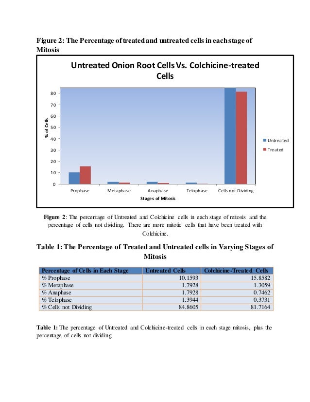 Ayden Case Study Psychology Ayden Case Study Psychology