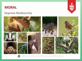 MORAL
Improve Biodiversity
 