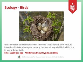 Ecology - Birds
It is an offense to intentionally kill, injure or take any wild bird. Also, to
intentionally take, damage or destroy the nest of any wild bird whilst it is
in use or being built.
Fine: £5000 per egg – Wildlife and Countryside Act 1981
 