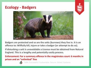 Ecology - Badgers
Badgers are protected and so are the setts (burrows) they live in. It is an
offence to: Willfully kill, injure or take a badger (or attempt to do so).
If disturbing a sett is unavoidable a License must be obtained from Natural
England. This is a lengthy and potentially costly process.
Enforcement: For a summary offence in the magistrates court: 6 months in
prison and an “unlimited” fine
 