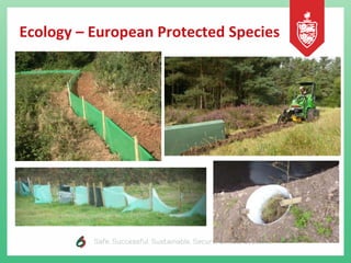 Ecology – European Protected Species
 