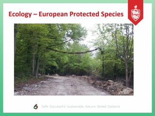 Ecology – European Protected Species
 