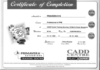 primevera certificate 