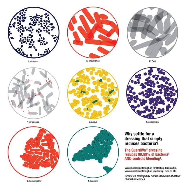 GuardIVa Brochure PDF