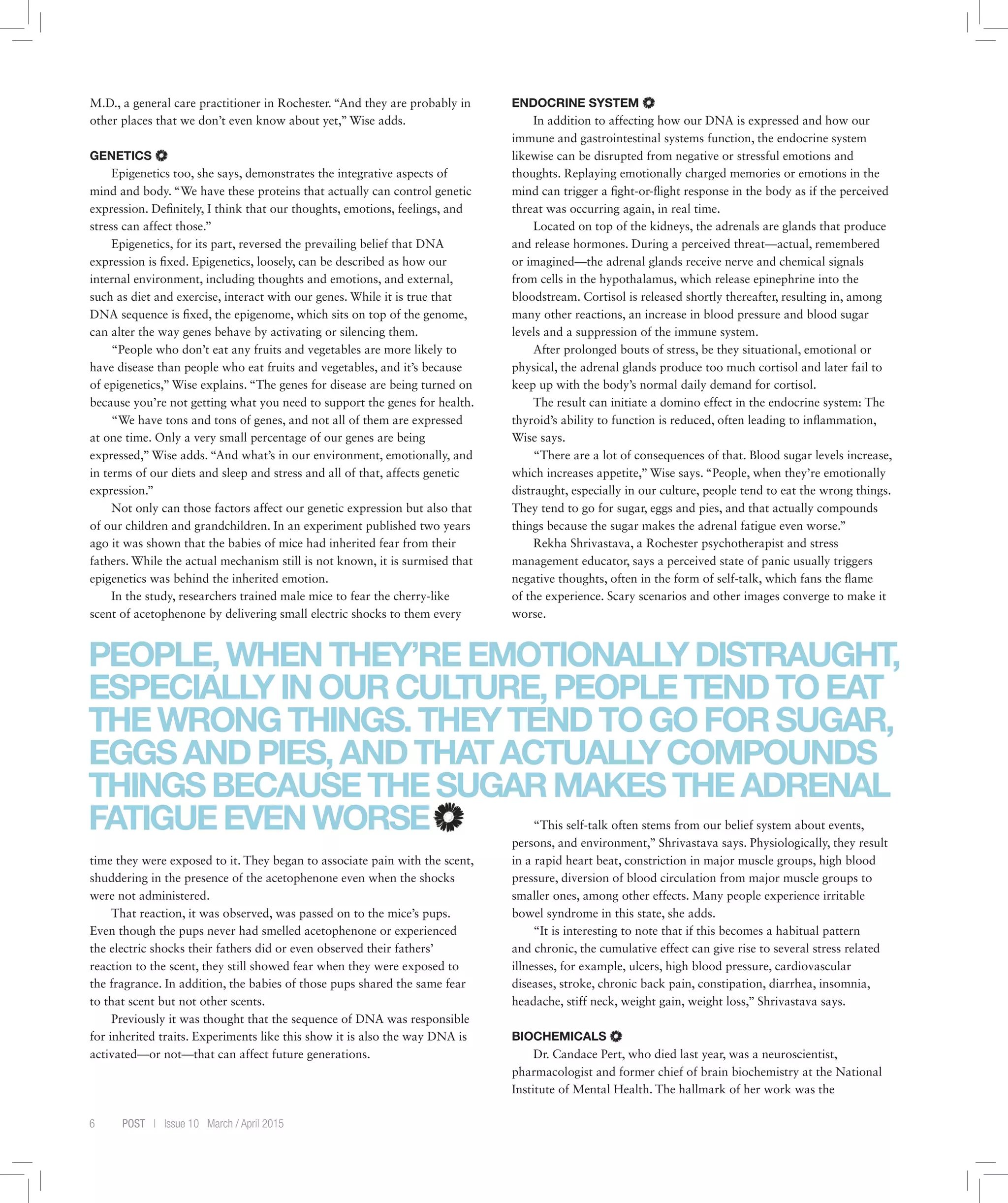 6 POST | Issue 10 March / April 2015
M.D., a general care practitioner in Rochester. “And they are probably in
other places that we don’t even know about yet,” Wise adds.
GENETICS
Epigenetics too, she says, demonstrates the integrative aspects of
mind and body. “We have these proteins that actually can control genetic
expression. Definitely, I think that our thoughts, emotions, feelings, and
stress can affect those.”
Epigenetics, for its part, reversed the prevailing belief that DNA
expression is fixed. Epigenetics, loosely, can be described as how our
internal environment, including thoughts and emotions, and external,
such as diet and exercise, interact with our genes. While it is true that
DNA sequence is fixed, the epigenome, which sits on top of the genome,
can alter the way genes behave by activating or silencing them.
“People who don’t eat any fruits and vegetables are more likely to
have disease than people who eat fruits and vegetables, and it’s because
of epigenetics,” Wise explains. “The genes for disease are being turned on
because you’re not getting what you need to support the genes for health.
“We have tons and tons of genes, and not all of them are expressed
at one time. Only a very small percentage of our genes are being
expressed,” Wise adds. “And what’s in our environment, emotionally, and
in terms of our diets and sleep and stress and all of that, affects genetic
expression.”
Not only can those factors affect our genetic expression but also that
of our children and grandchildren. In an experiment published two years
ago it was shown that the babies of mice had inherited fear from their
fathers. While the actual mechanism still is not known, it is surmised that
epigenetics was behind the inherited emotion.
In the study, researchers trained male mice to fear the cherry-like
scent of acetophenone by delivering small electric shocks to them every
time they were exposed to it. They began to associate pain with the scent,
shuddering in the presence of the acetophenone even when the shocks
were not administered.
That reaction, it was observed, was passed on to the mice’s pups.
Even though the pups never had smelled acetophenone or experienced
the electric shocks their fathers did or even observed their fathers’
reaction to the scent, they still showed fear when they were exposed to
the fragrance. In addition, the babies of those pups shared the same fear
to that scent but not other scents.
Previously it was thought that the sequence of DNA was responsible
for inherited traits. Experiments like this show it is also the way DNA is
activated—or not—that can affect future generations.
ENDOCRINE SYSTEM
In addition to affecting how our DNA is expressed and how our
immune and gastrointestinal systems function, the endocrine system
likewise can be disrupted from negative or stressful emotions and
thoughts. Replaying emotionally charged memories or emotions in the
mind can trigger a fight-or-flight response in the body as if the perceived
threat was occurring again, in real time.
Located on top of the kidneys, the adrenals are glands that produce
and release hormones. During a perceived threat—actual, remembered
or imagined—the adrenal glands receive nerve and chemical signals
from cells in the hypothalamus, which release epinephrine into the
bloodstream. Cortisol is released shortly thereafter, resulting in, among
many other reactions, an increase in blood pressure and blood sugar
levels and a suppression of the immune system.
After prolonged bouts of stress, be they situational, emotional or
physical, the adrenal glands produce too much cortisol and later fail to
keep up with the body’s normal daily demand for cortisol.
The result can initiate a domino effect in the endocrine system: The
thyroid’s ability to function is reduced, often leading to inflammation,
Wise says.
“There are a lot of consequences of that. Blood sugar levels increase,
which increases appetite,” Wise says. “People, when they’re emotionally
distraught, especially in our culture, people tend to eat the wrong things.
They tend to go for sugar, eggs and pies, and that actually compounds
things because the sugar makes the adrenal fatigue even worse.”
Rekha Shrivastava, a Rochester psychotherapist and stress
management educator, says a perceived state of panic usually triggers
negative thoughts, often in the form of self-talk, which fans the flame
of the experience. Scary scenarios and other images converge to make it
worse.
“This self-talk often stems from our belief system about events,
persons, and environment,” Shrivastava says. Physiologically, they result
in a rapid heart beat, constriction in major muscle groups, high blood
pressure, diversion of blood circulation from major muscle groups to
smaller ones, among other effects. Many people experience irritable
bowel syndrome in this state, she adds.
“It is interesting to note that if this becomes a habitual pattern
and chronic, the cumulative effect can give rise to several stress related
illnesses, for example, ulcers, high blood pressure, cardiovascular
diseases, stroke, chronic back pain, constipation, diarrhea, insomnia,
headache, stiff neck, weight gain, weight loss,” Shrivastava says.
BIOCHEMICALS
Dr. Candace Pert, who died last year, was a neuroscientist,
pharmacologist and former chief of brain biochemistry at the National
Institute of Mental Health. The hallmark of her work was the
PEOPLE,WHENTHEY’REEMOTIONALLYDISTRAUGHT,
ESPECIALLYINOURCULTURE,PEOPLETENDTOEAT
THEWRONGTHINGS.THEYTENDTOGOFORSUGAR,
EGGSANDPIES,ANDTHATACTUALLYCOMPOUNDS
THINGSBECAUSETHESUGARMAKESTHEADRENAL
FATIGUEEVENWORSE
 
