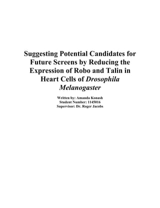 Suggesting Potential Candidates for
Future Screens by Reducing the
Expression of Robo and Talin in
Heart Cells of Drosophila
Melanogaster
Written by: Amanda Konash
Student Number: 1145016
Supervisor: Dr. Roger Jacobs
 