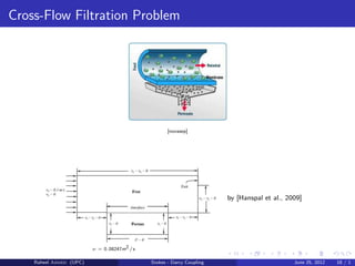 Cross-Flow Filtration Problem
[novasep]
ν = 0.08247m2/s
by [Hanspal et al., 2009]
Raheel Ahmed (UPC) Stokes - Darcy Coupling June 25, 2012 18 / 1
 