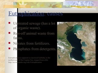 Eutrophication: causes 
 Untreated sewage (has a lot 
of organic waste). 
 Run-off animal waste from 
farms. 
 Nitrates from fertilizers. 
 Phosphates from detergents. 
Eutrophication is apparent as increased turbidity in the 
northern part of the Caspian Sea, imaged from orbit. 
http://en.wikipedia.org/wiki/Eutrophication 
 