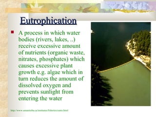 EEuuttrroopphhiiccaattiioonn 
 A process in which water 
bodies (rivers, lakes, ..) 
receive excessive amount 
of nutrients (organic waste, 
nitrates, phosphates) which 
causes excessive plant 
growth e.g. algae which in 
turn reduces the amount of 
dissolved oxygen and 
prevents sunlight from 
entering the water 
http://www.umanitoba.ca/institutes/fisheries/eutro.html 
 