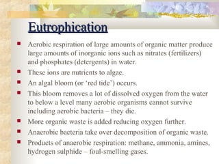 EEuuttrroopphhiiccaattiioonn 
 Aerobic respiration of large amounts of organic matter produce 
large amounts of inorganic ions such as nitrates (fertilizers) 
and phosphates (detergents) in water. 
 These ions are nutrients to algae. 
 An algal bloom (or ‘red tide’) occurs. 
 This bloom removes a lot of dissolved oxygen from the water 
to below a level many aerobic organisms cannot survive 
including aerobic bacteria – they die. 
 More organic waste is added reducing oxygen further. 
 Anaerobic bacteria take over decomposition of organic waste. 
 Products of anaerobic respiration: methane, ammonia, amines, 
hydrogen sulphide – foul-smelling gases. 
 