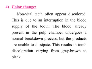 4) Color change:
Non-vital teeth often appear discolored.
This is due to an interruption in the blood
supply of the tooth. The blood already
present in the pulp chamber undergoes a
normal breakdown process, but the products
are unable to dissipate. This results in tooth
discoloration varying from gray-brown to
black.
 