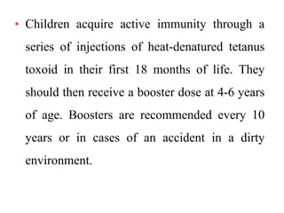 • Children acquire active immunity through a
series of injections of heat-denatured tetanus
toxoid in their first 18 months of life. They
should then receive a booster dose at 4-6 years
of age. Boosters are recommended every 10
years or in cases of an accident in a dirty
environment.
 