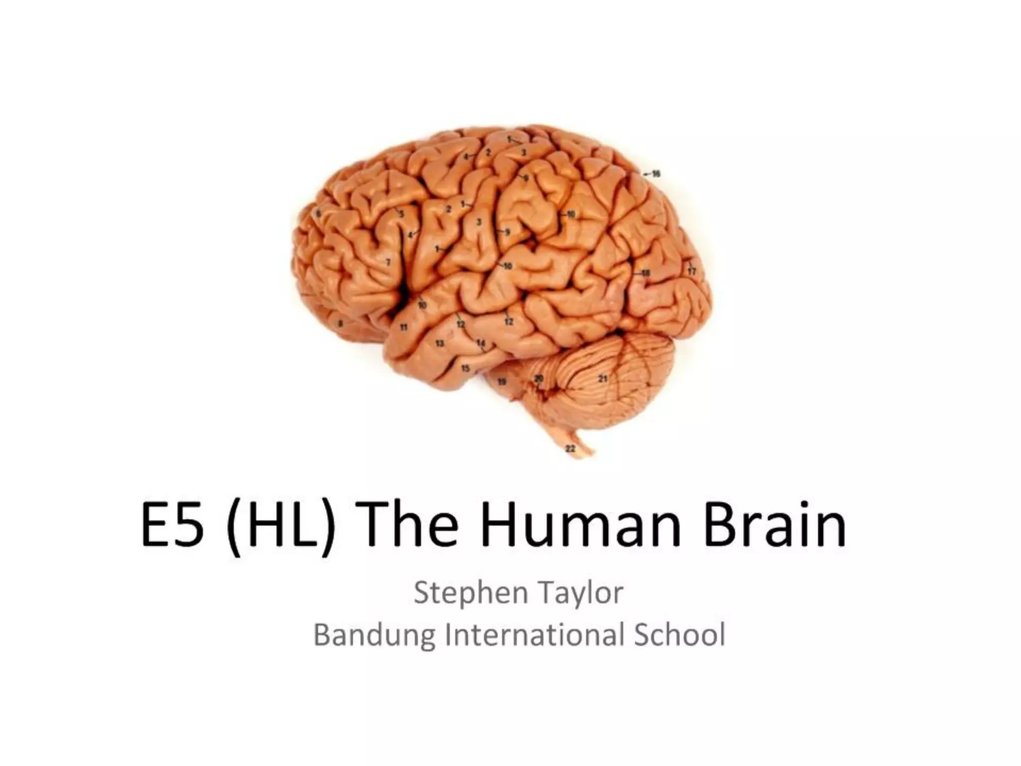 Slide 1