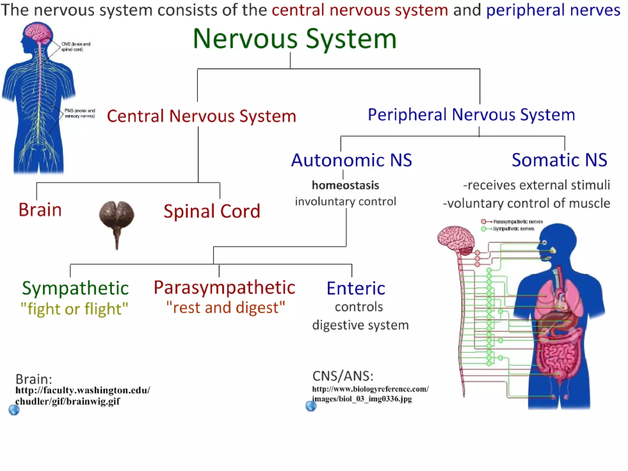 Slide 10
