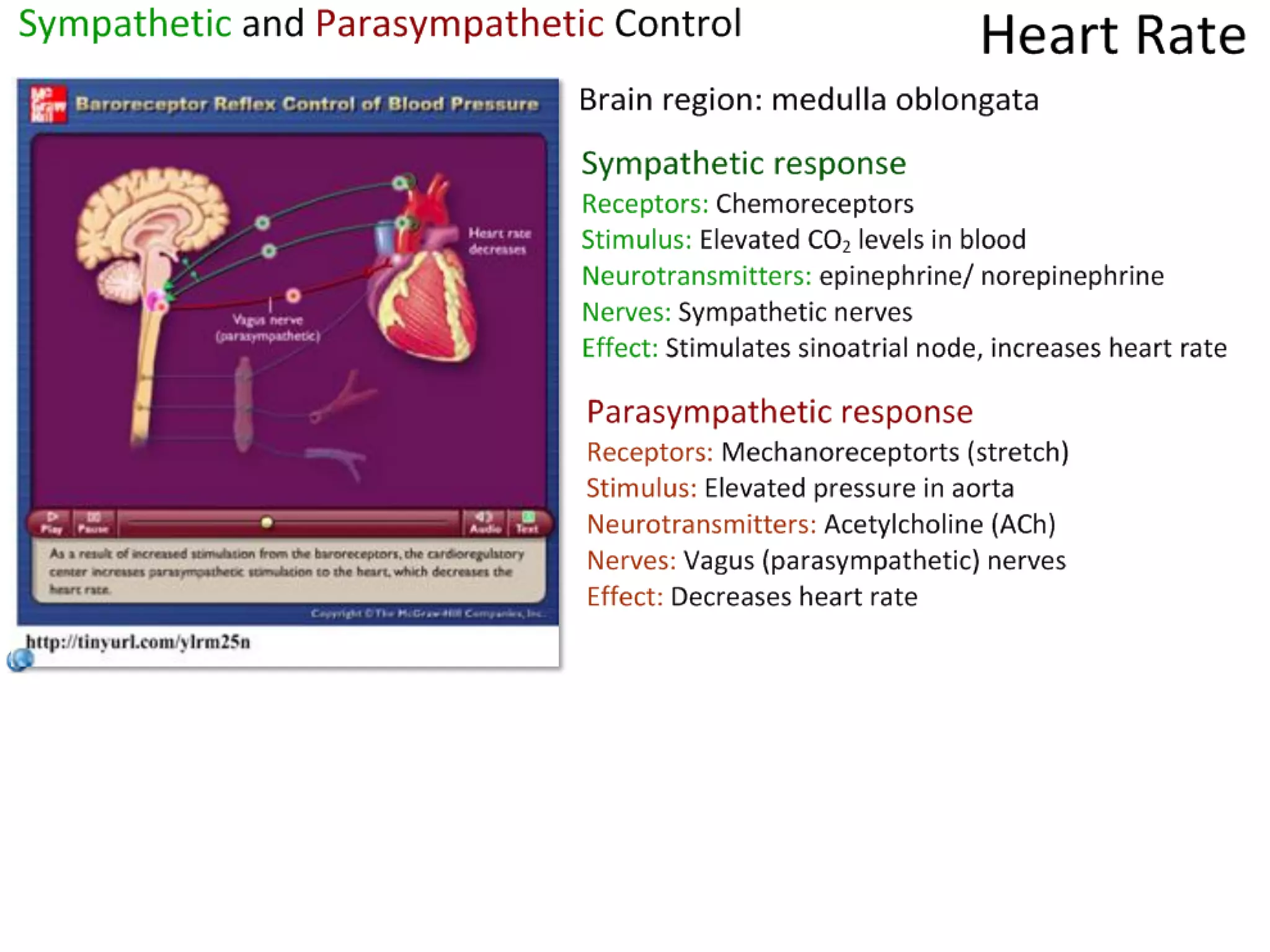 Slide 12