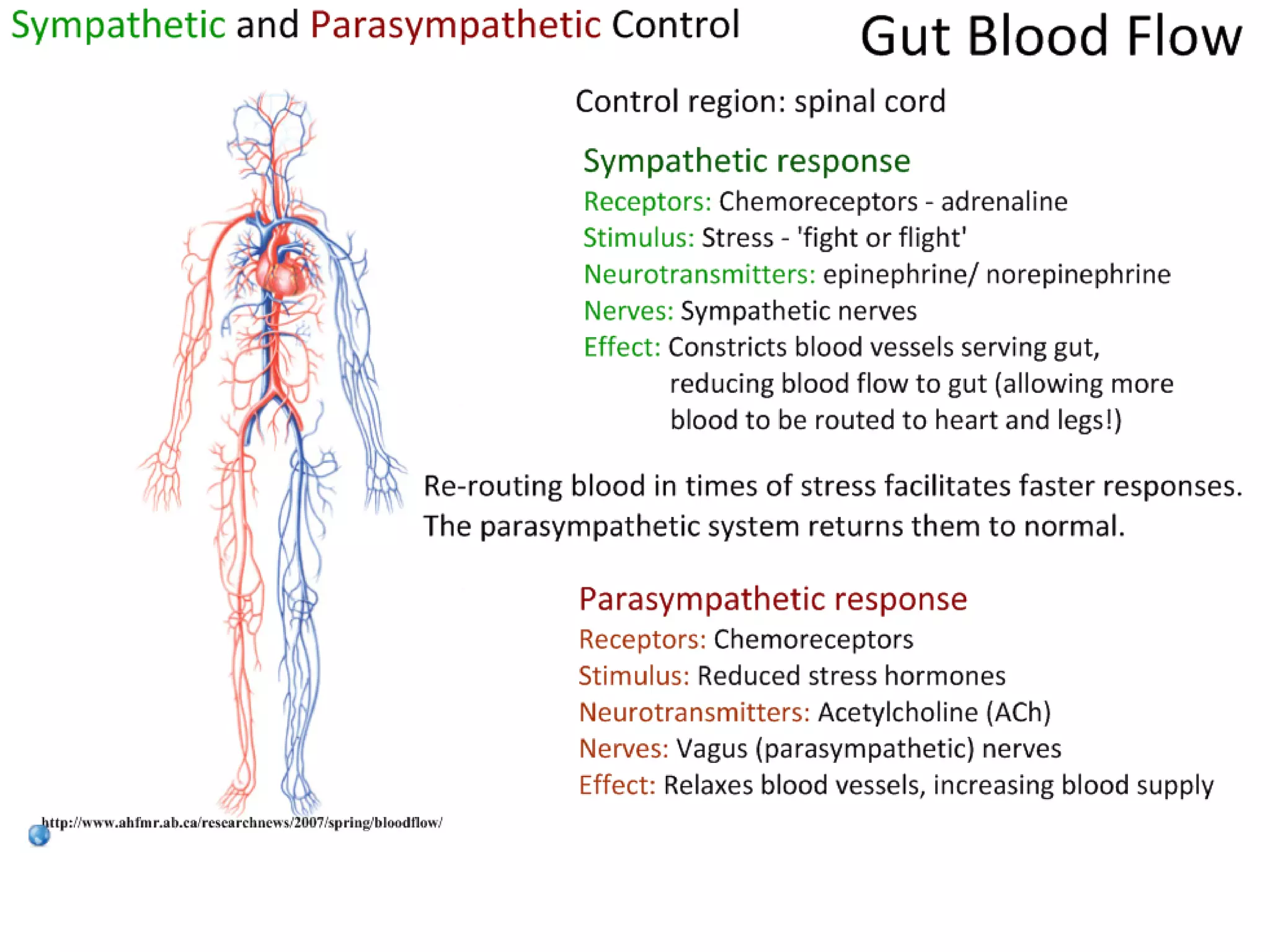 Slide 13