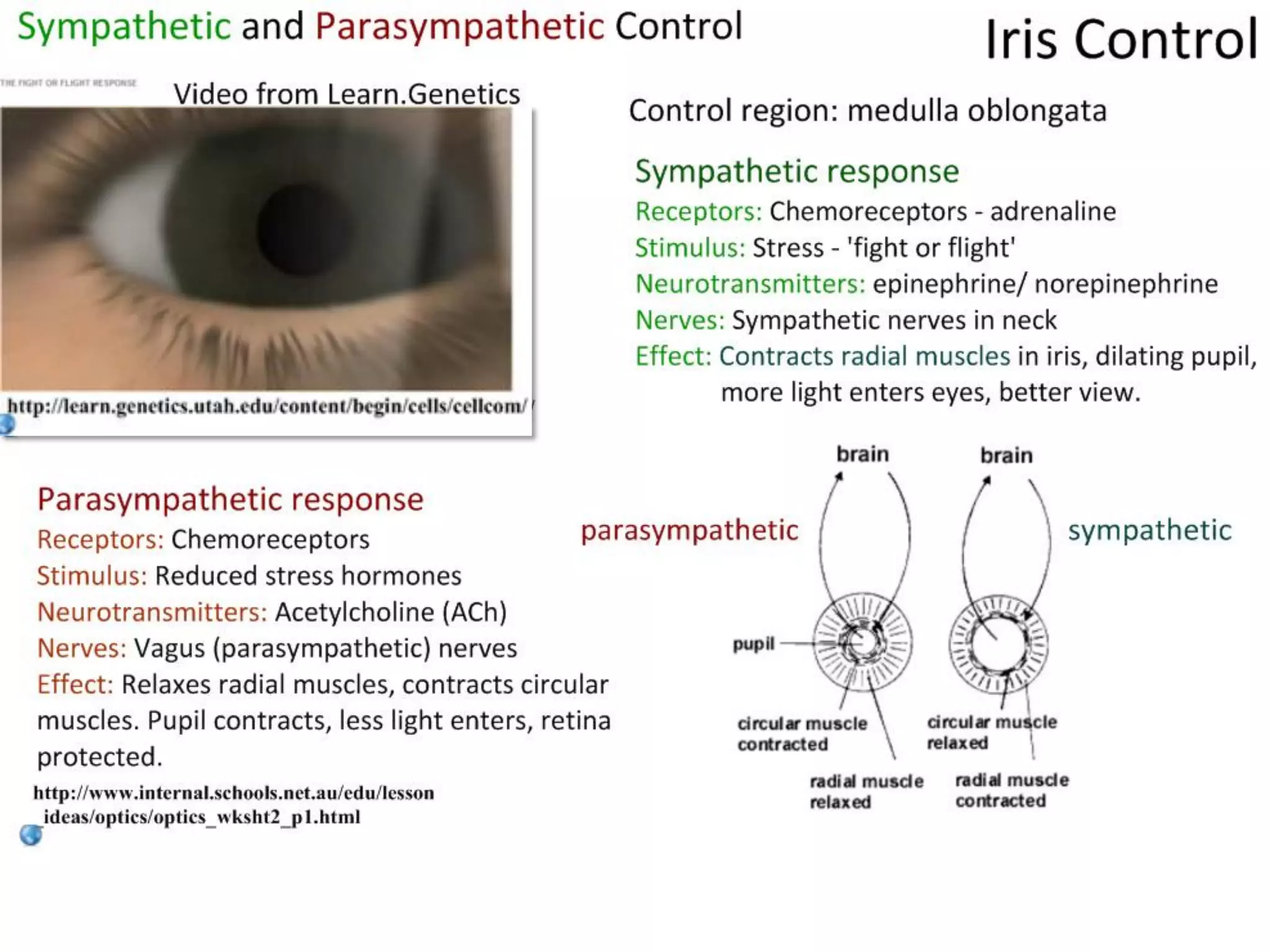 Slide 14