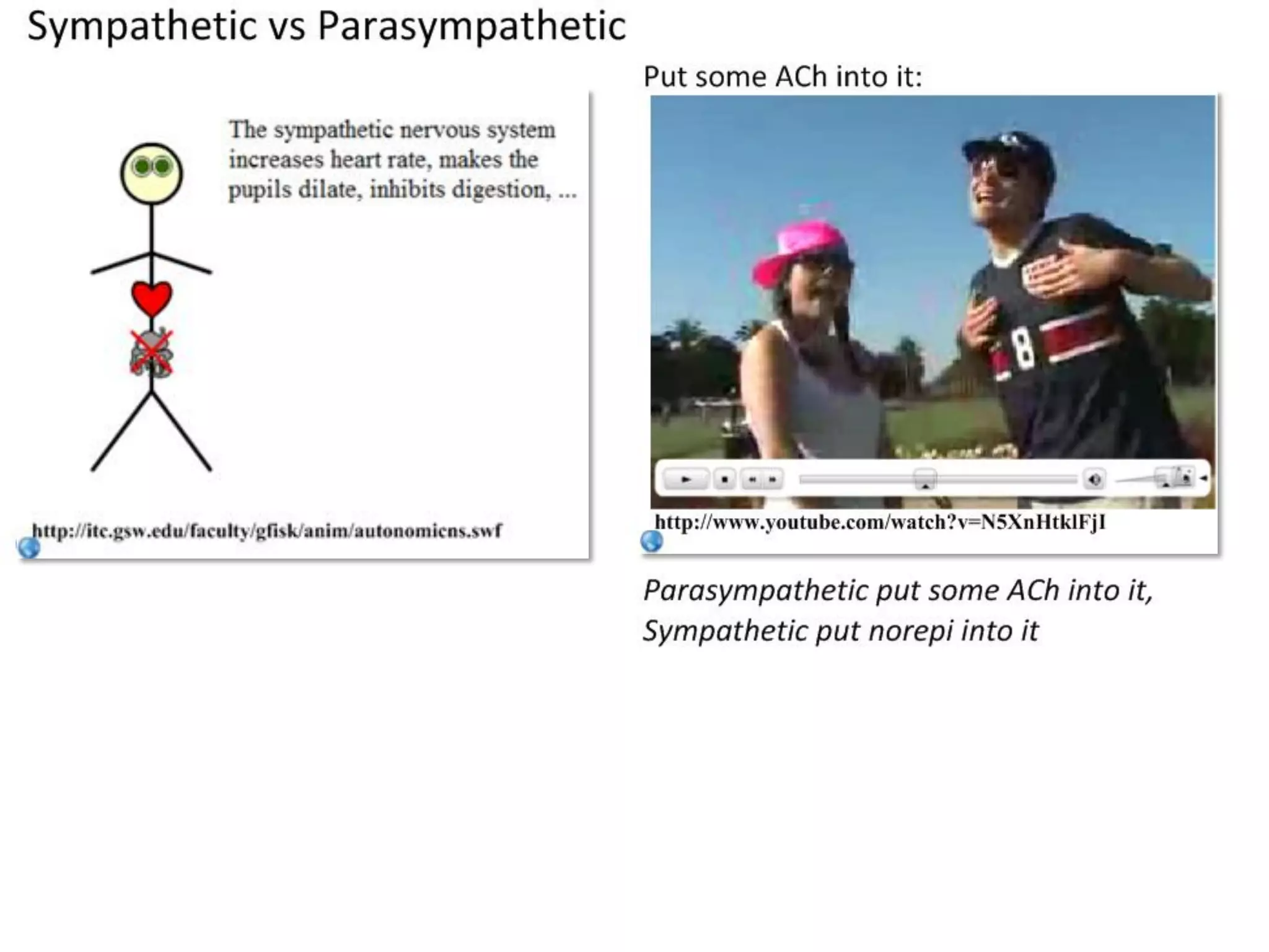 Slide 15