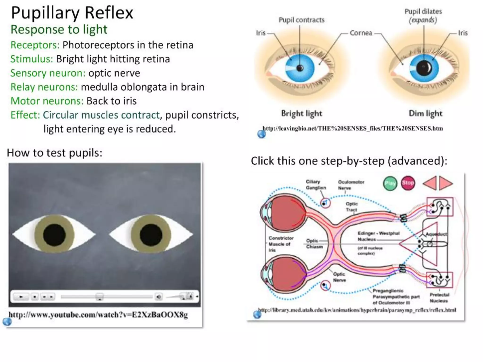 Slide 16