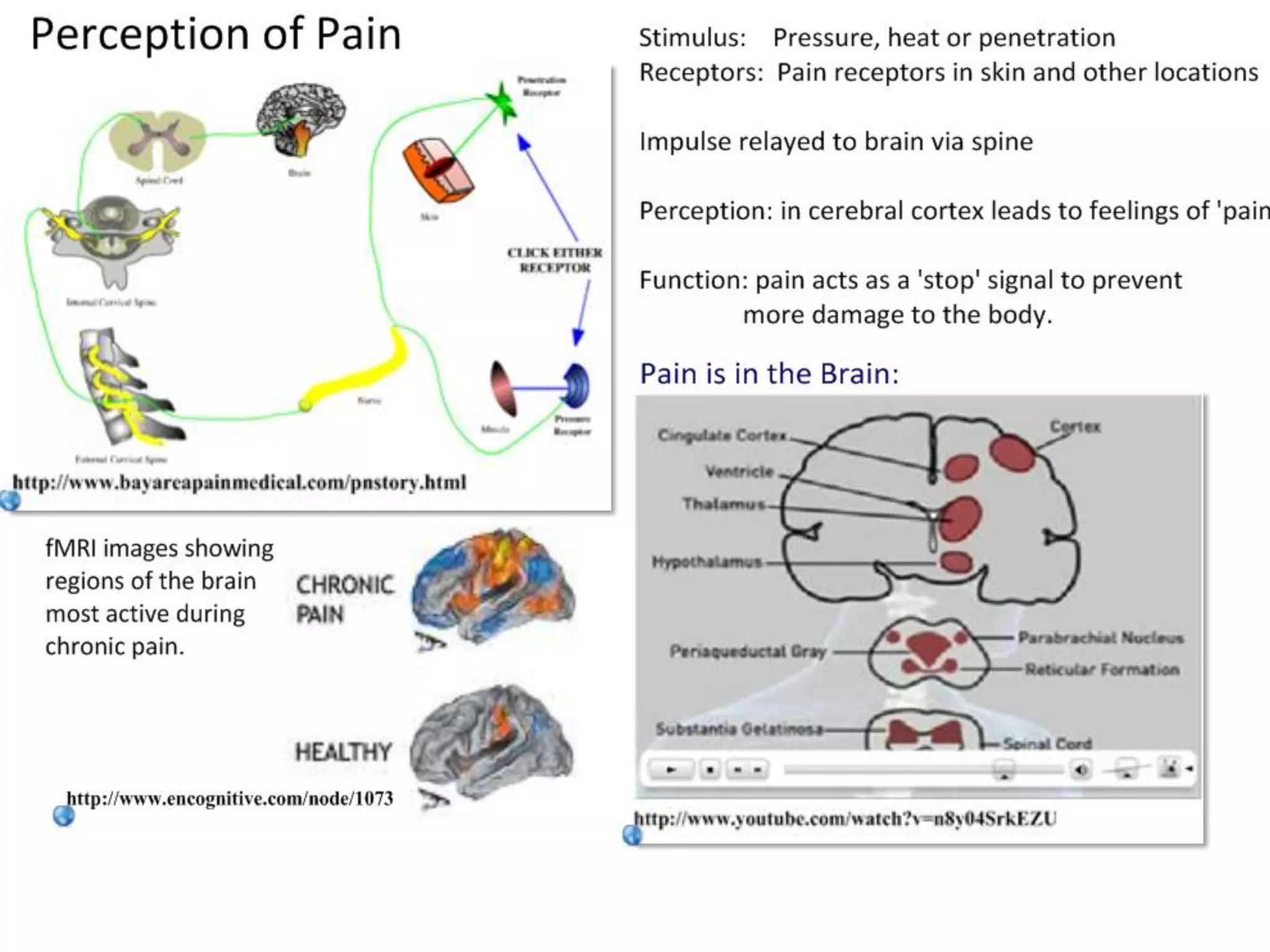 Slide 18