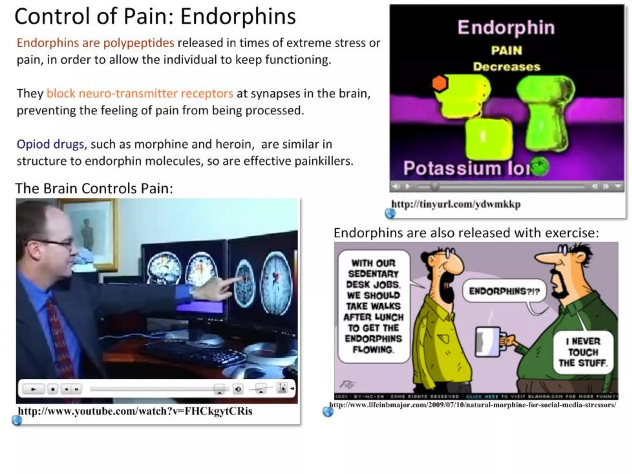 Slide 19