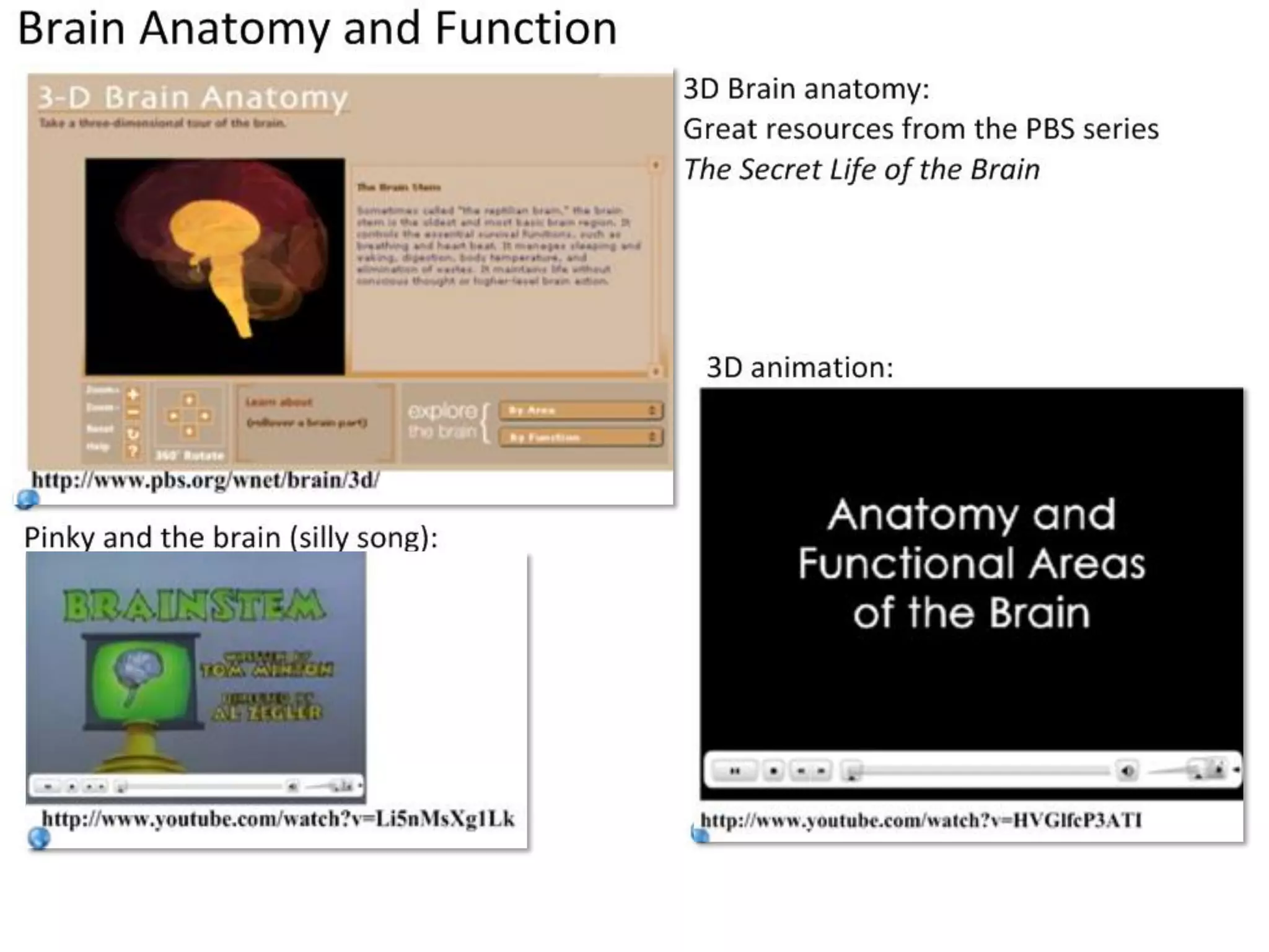 Slide 5